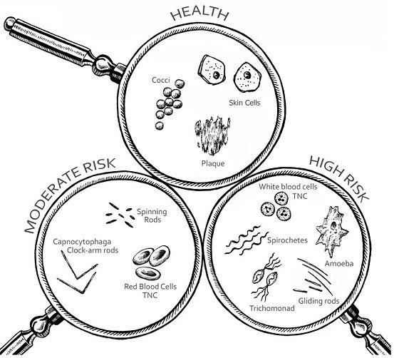 Microscopy in Dentistry